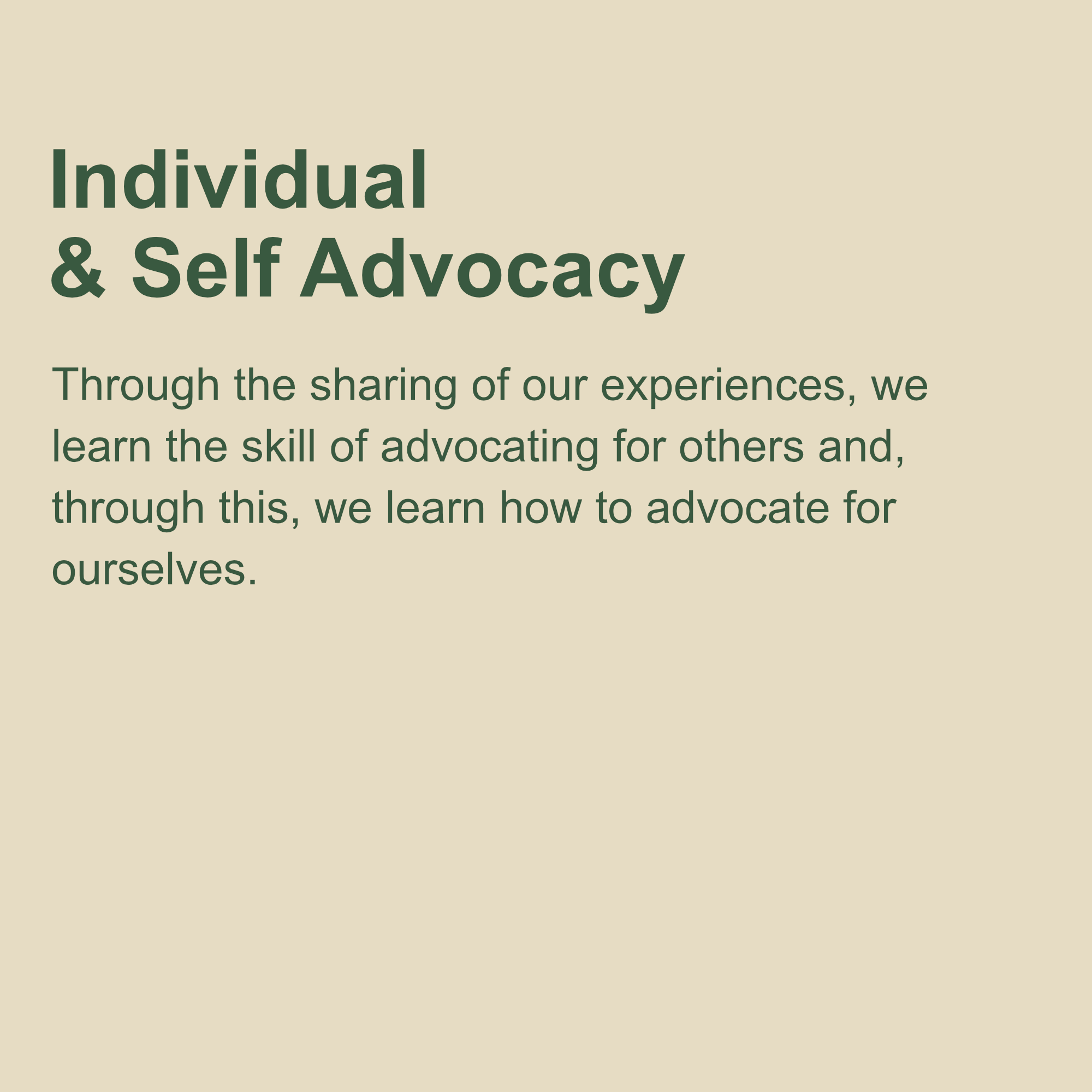 Individual & Self Advocacy detail
